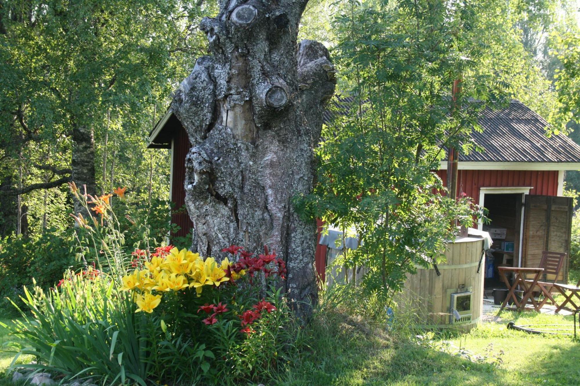 Valkeisen Loma Villa Ahtari Luaran gambar