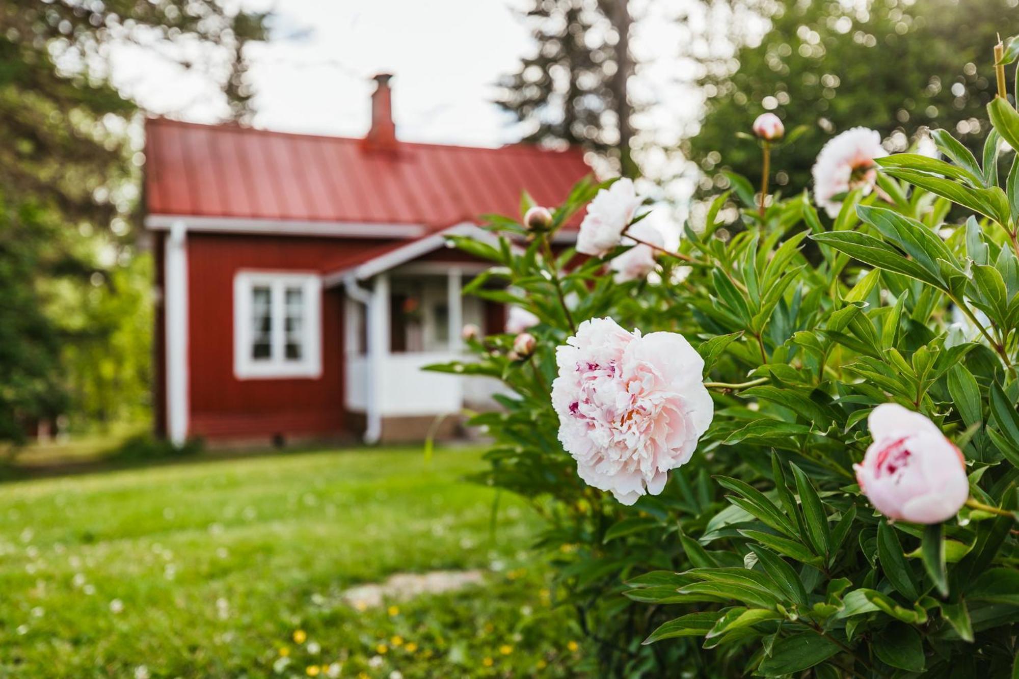 Valkeisen Loma Villa Ahtari Luaran gambar
